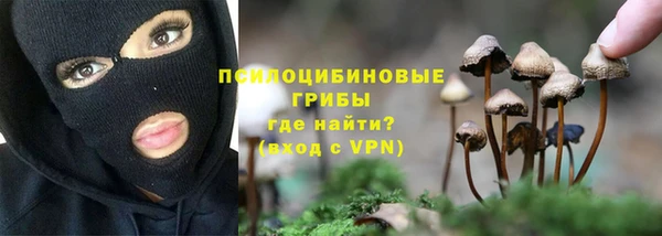 синтетический гашиш Арсеньев
