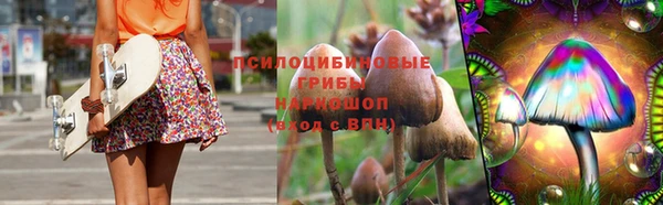 прущие крисы Аркадак